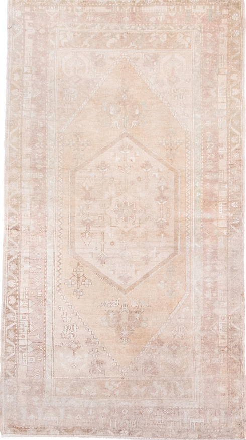 Antique Anatol Area Rug (3' x 6')